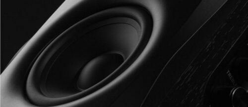 Buy Swans D1010-IV 2.0 Bookshelf Speakers at HiFiNage in India with warranty.
