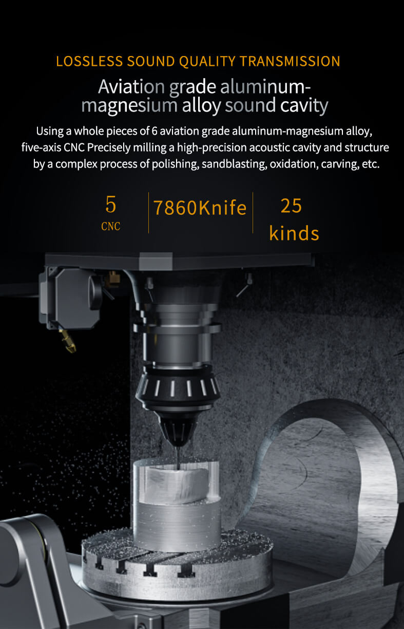 Buy BGVP DN2 earphone at HiFiNage in India.