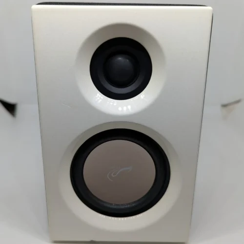 Buy Swans HiVi M10 Pre-Owned at HiFiNage in India.